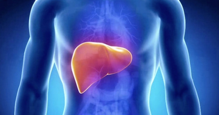 Топ 4 начина за подобряване функцията на черния дроб