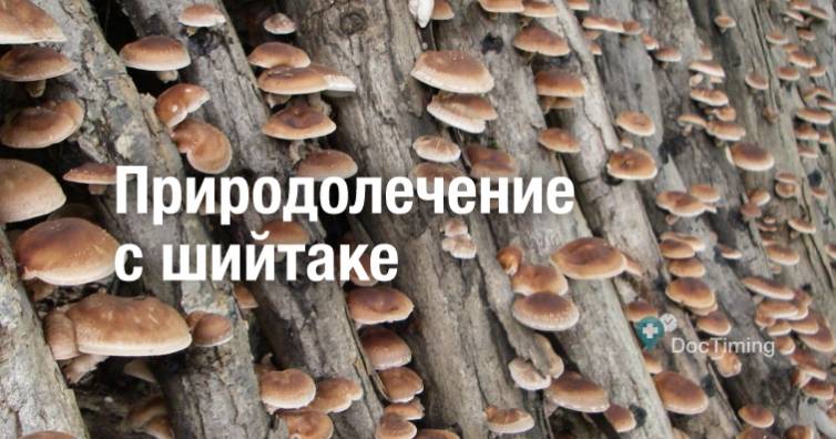 Природолечение с шийтаке