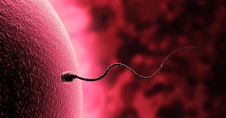 СБАЛ „Свети Лазар“, организира благотворителна инициатива под надслов „Мъжете НЕ знаят защо“