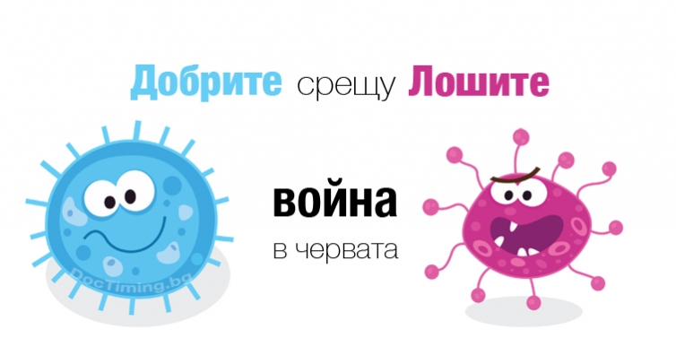 Добрите срещу лошите бактерии – война в чревната флора