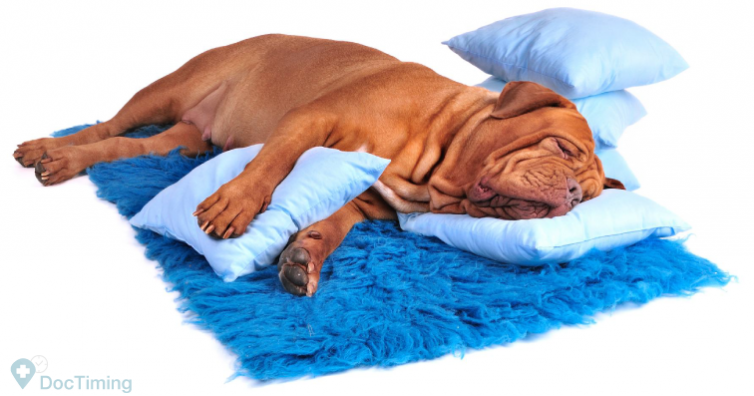 10 хитрини за наистина здравословен сън