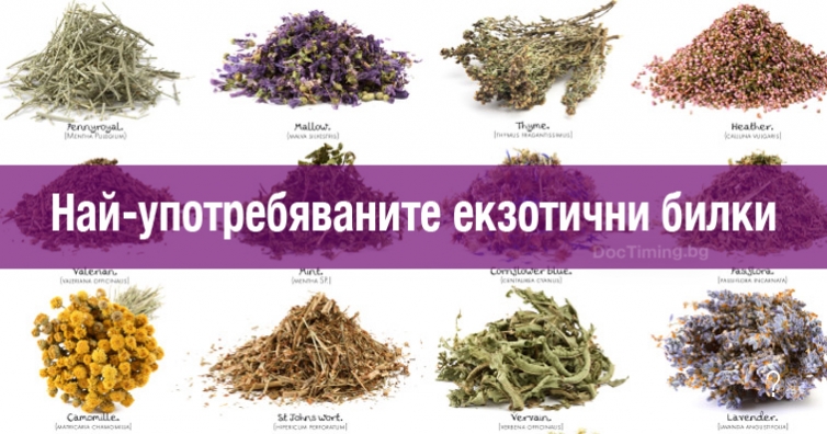 Най-употребяваните екзотични билки
