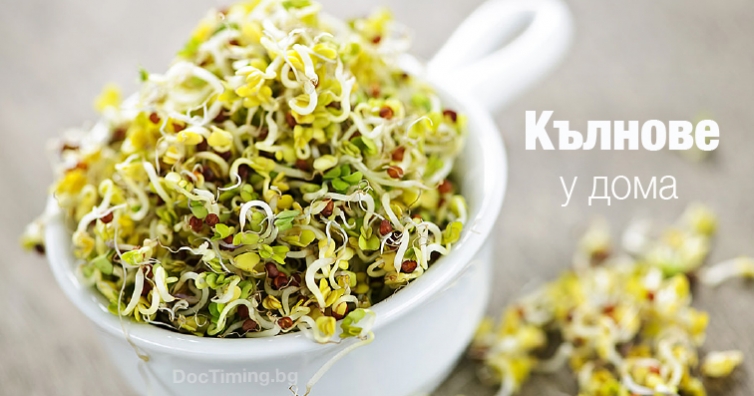 Защо да започнем отглеждане на кълнове у дома?