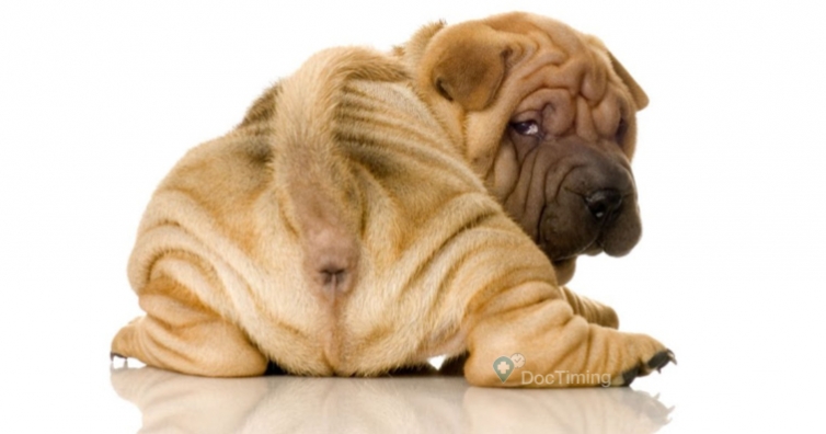 Домашни рецепти срещу диария