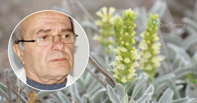 Урологът д-р Анатолий Аликовски: Мурсалският чай е билката на дълголетието и лекува рак