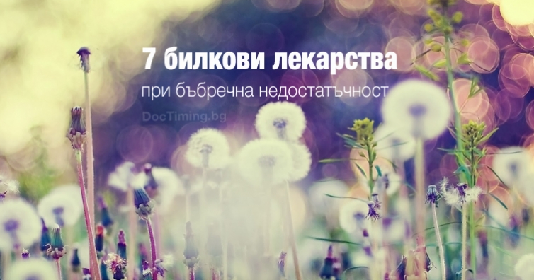 Подарък от природата: 7 билкови лекарства при бъбречна недостатъчност