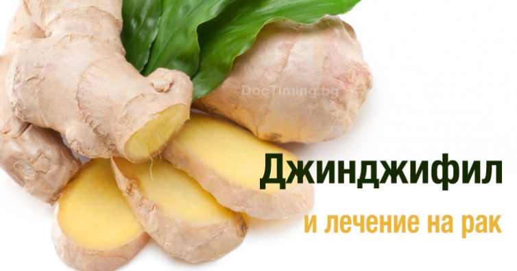 Джинджифилът убива ракови клетки при рак на яйчниците и простатата