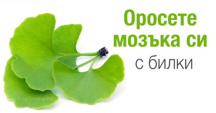 Помогнете си с билки за оросяване на мозъка