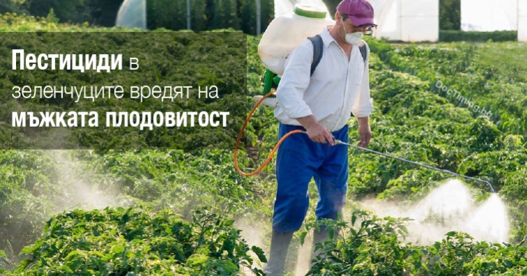 Пестициди в зеленчуците вредят на мъжката плодовитост