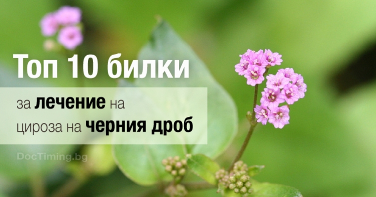 Топ 10 билки за лечение на цироза на черния дроб