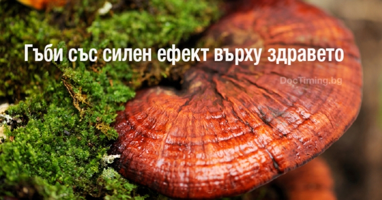 Гъби, които имат силен ефект върху здравето