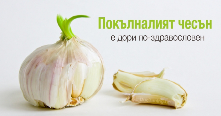 Не изхвърляйте покълналия чесън - той е суперхрана