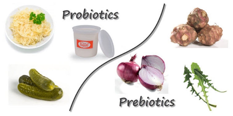 Пребиотици и пробиотици