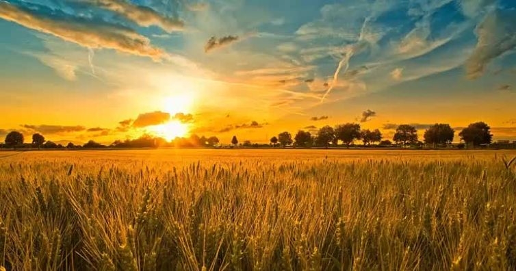 Хелиотерапия или как слънчевата светлина лекува