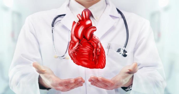 Отгледаха сърце само от стволови клетки