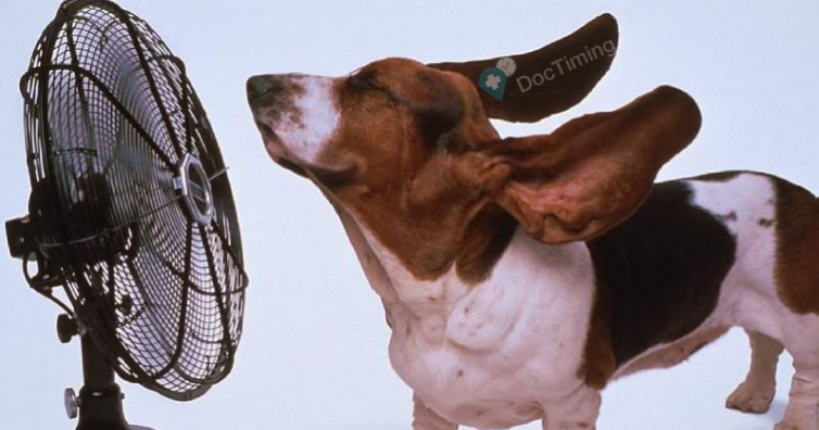 Какви спешни мерки да предприемем при топлинен удар