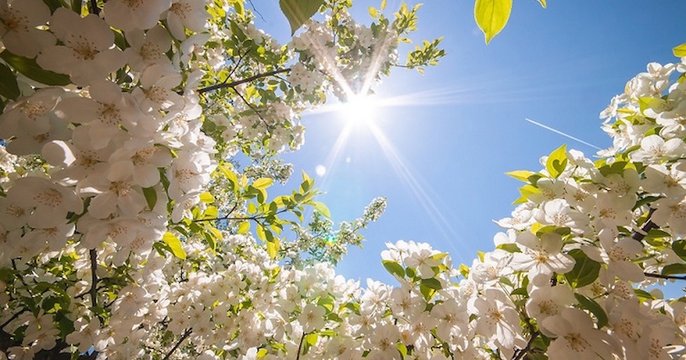 Да увеличим хормоните на щастието по природен начин