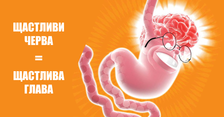 Щастието се крие във червата - запознайте се с втория мозък!