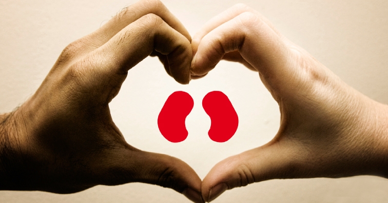 Съживяват бъбреци с плазмафереза