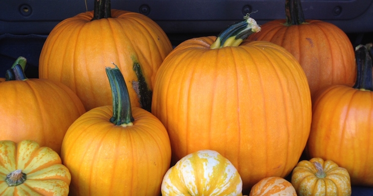 Тиква и салата от овчарска торбичка срещу пролетна умора