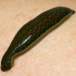 снимка на Жельо Мир снимка на Жельо Мир